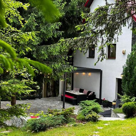 Mountain Chalet - Cabana La Muntele Baisorii Muntele Cacovei  Экстерьер фото