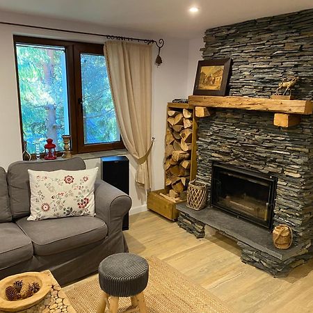 Mountain Chalet - Cabana La Muntele Baisorii Muntele Cacovei  Экстерьер фото