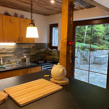 Mountain Chalet - Cabana La Muntele Baisorii Muntele Cacovei  Экстерьер фото