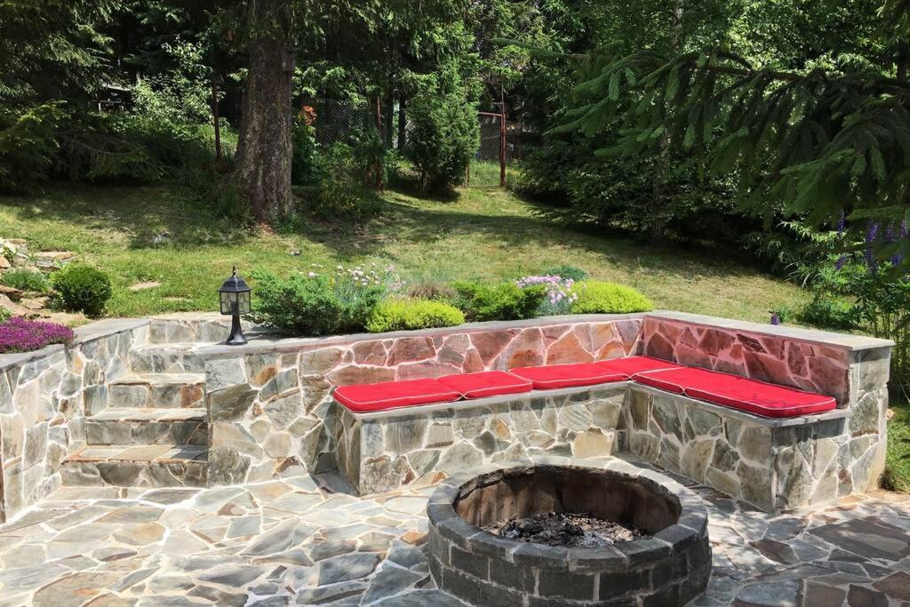 Mountain Chalet - Cabana La Muntele Baisorii Muntele Cacovei  Экстерьер фото