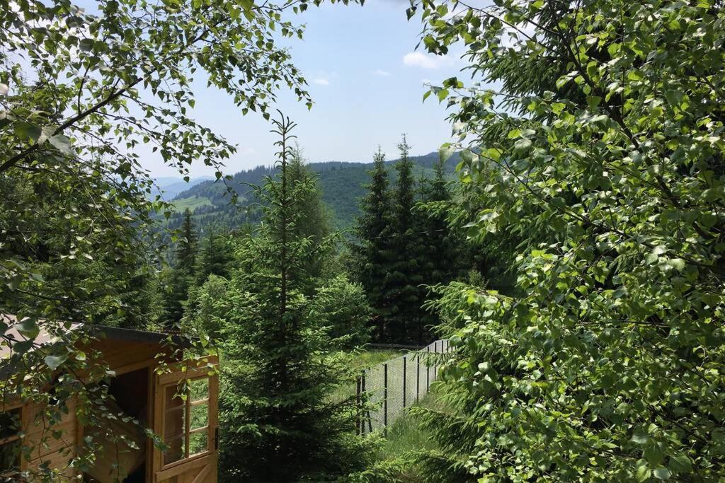 Mountain Chalet - Cabana La Muntele Baisorii Muntele Cacovei  Экстерьер фото
