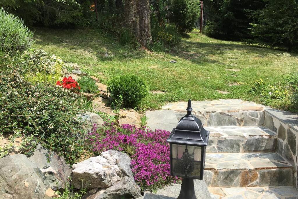 Mountain Chalet - Cabana La Muntele Baisorii Muntele Cacovei  Экстерьер фото