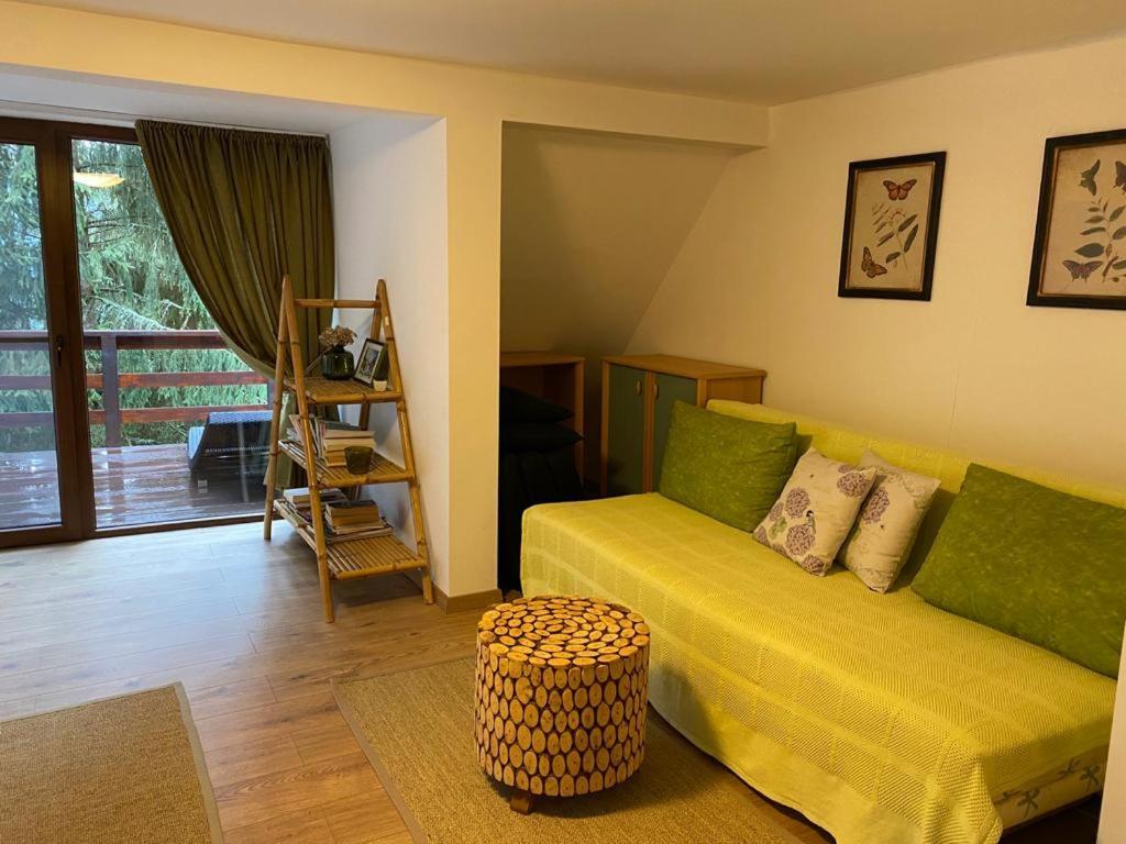 Mountain Chalet - Cabana La Muntele Baisorii Muntele Cacovei  Экстерьер фото
