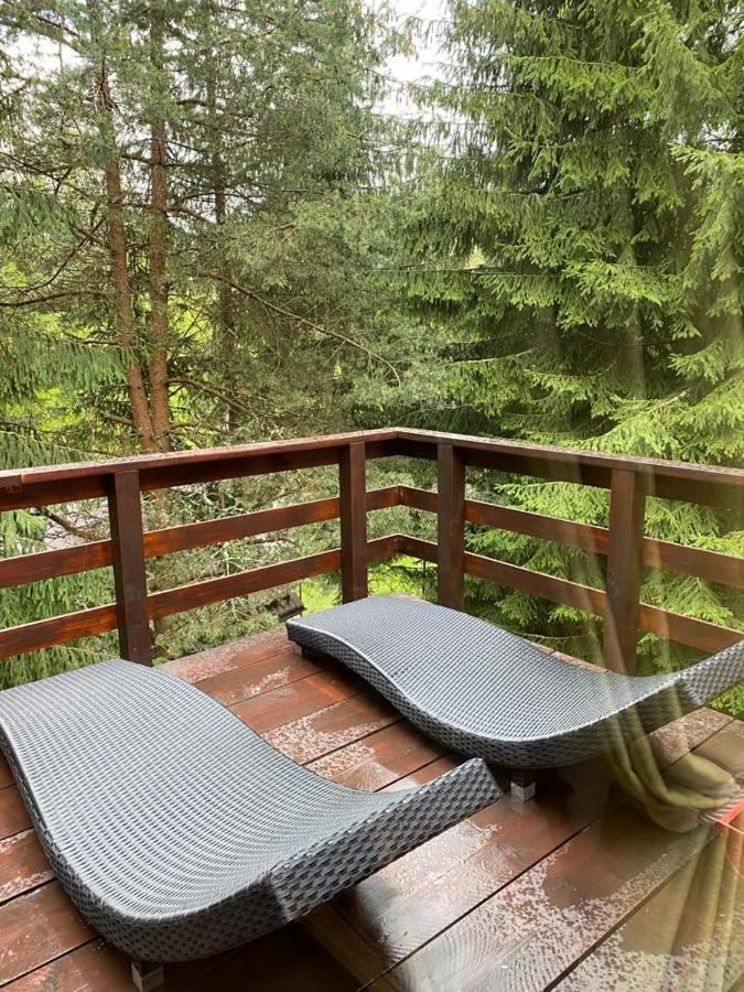 Mountain Chalet - Cabana La Muntele Baisorii Muntele Cacovei  Экстерьер фото