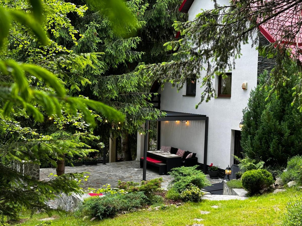 Mountain Chalet - Cabana La Muntele Baisorii Muntele Cacovei  Экстерьер фото