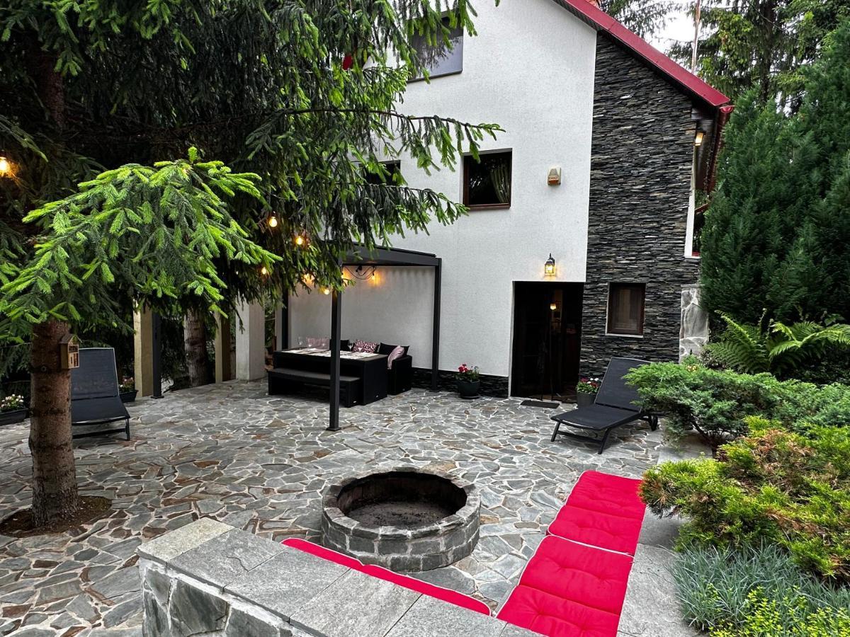 Mountain Chalet - Cabana La Muntele Baisorii Muntele Cacovei  Экстерьер фото