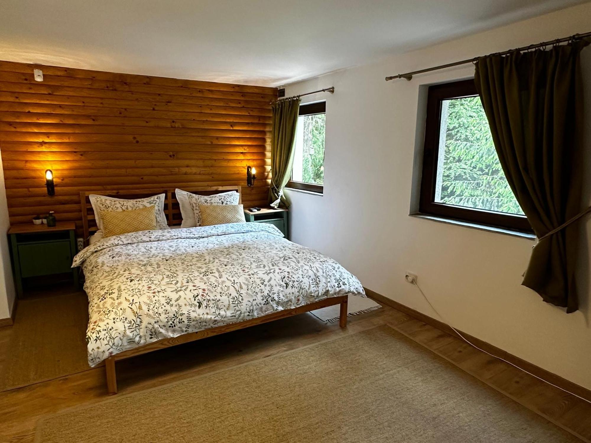 Mountain Chalet - Cabana La Muntele Baisorii Muntele Cacovei  Экстерьер фото
