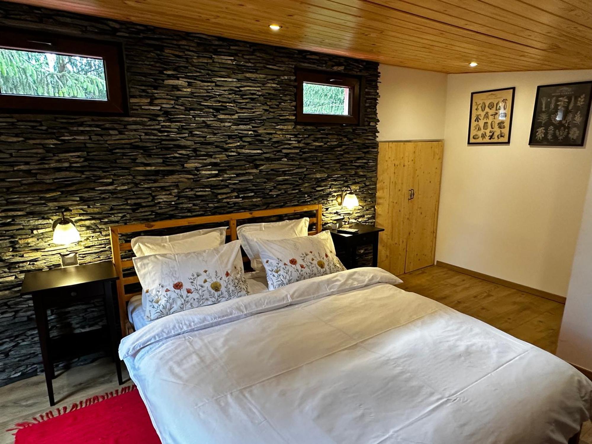 Mountain Chalet - Cabana La Muntele Baisorii Muntele Cacovei  Экстерьер фото