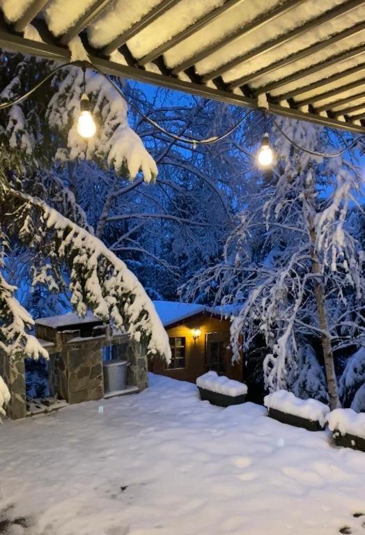 Mountain Chalet - Cabana La Muntele Baisorii Muntele Cacovei  Экстерьер фото