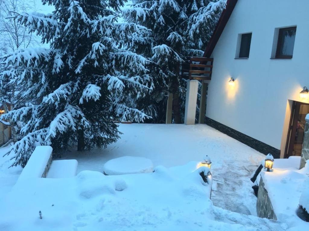 Mountain Chalet - Cabana La Muntele Baisorii Muntele Cacovei  Экстерьер фото