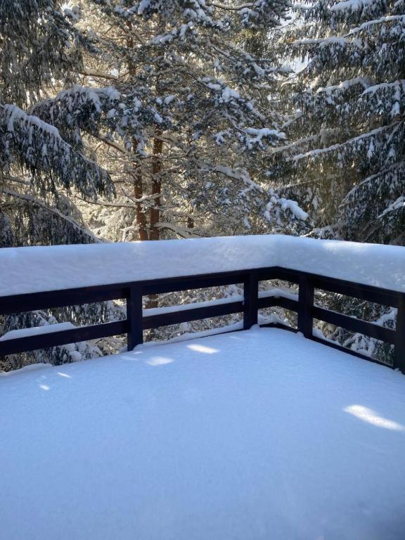 Mountain Chalet - Cabana La Muntele Baisorii Muntele Cacovei  Экстерьер фото