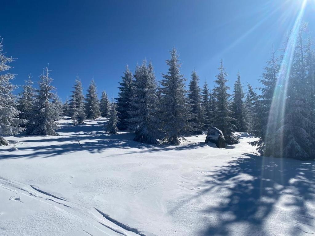 Вилла Mountain Chalet - Cabana La Muntele Baisorii Muntele Cacovei  Экстерьер фото