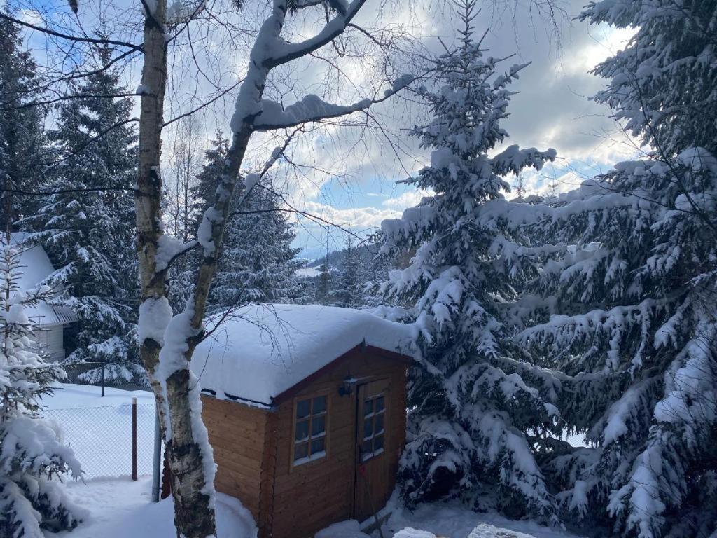 Mountain Chalet - Cabana La Muntele Baisorii Muntele Cacovei  Экстерьер фото